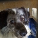 학현4길 이미지