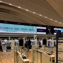 KLM 포르투 항공편 사전 체크인 좌석지정 팁 기내식 암스테르담 경유 수화물 후기