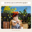 더헤이든 | 부천 돌사진 헤이든스튜디오 포베이비하보 돌촬영 후기