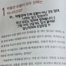영희와철수 | 아이와 박물관에 가기 전 읽으면 좋을 책, <그 유물, 진짜로 봤어?_배성호, 박찬희(철수와 영희)