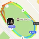 고양이 기숙사 | 2025년 한국교원대 다정관 기숙사 입사 후기