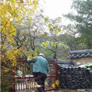 도천농산