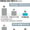 비조
