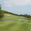 스프링데일 골프&리조트 이미지