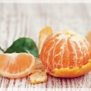 탑클래스 영어태권도장 이미지