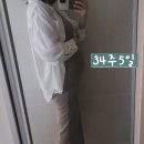 임신기간기록 31주차~34주차 :: 태교여행호캉스 분만방법고민상담 그리고 결정 임산부장례식참석