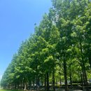 송상현 | 🚗 아이랑 송상현광장 다녀온 후기 (주차, 바닥분수, 체험까지 완벽!)