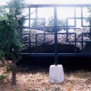 외도지석묘 1호 이미지