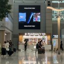 에이스팜약국 이미지