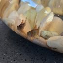 Bizidduk | 다이소랑 당근으로 열대어 키우기 도전