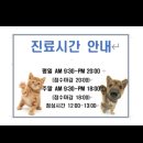 엘케이동물병원 이미지