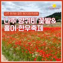 영산강둔치체육공원 | 나주 양귀비 절정 영산강둔치공원에서 열리는 홍어한우축제