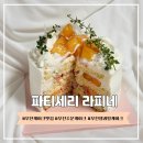 신흥로 150-1 | 부천홀케이크 전문점 복숭아생크림케이크 후기 🍑 ㅣ파티세리 라피네