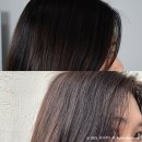 프레쉬라이트 슈가애쉬 셀프염색약 셀프염색 후기