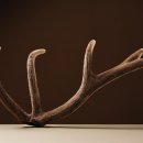 제생당한약 이미지