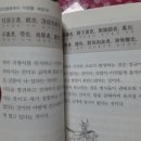 움터미디어