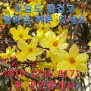 (대전 유성구 상대동) 대전 아이파크 시티 분양 모텔하우스 15일 오픈 , 대전아이파크시티 ,대전아파트분양 이미지
