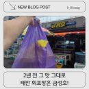 금성호회수산 | 태안회포장 금성호 재방문 후기 우럭·놀래미회 포장해 숙소에서 즐긴 태안수산시장 맛집