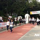 진해구 ⓒ-23 이미지