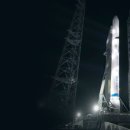 삼성조류 이미지