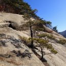 제77차 정기산행 충북,괴산 신선봉 시산제에 초대함니다 이미지