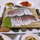 낭만고등어 이미지