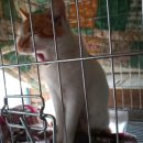 호크종합동물병원 이미지