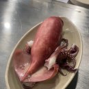 화곡본동 이미지