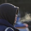 신호대기 횡단보도 이미지