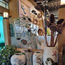 명산장어 이미지