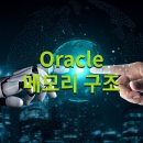 Oracle 메모리 구조 국비교육으로 쉽게 배우기 이미지