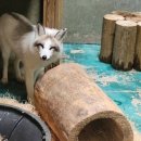 덕진체련공원 테니스장 이미지