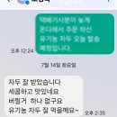 퍼플퀸 | [공지] [영월나우리터] 유기농 자두 판매 후기/"마트 자두와는 차원이 달라요!" 감동적인 실구매 고객...