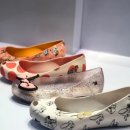 미니도그 이미지