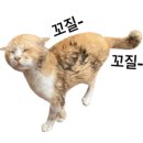 강남축구공원 스쿼시장 이미지