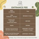 빌세탁소 | 아이와 가볼만한 곳, 원목 장난감 신상 실내 키즈 카페 :: 우든빌 키즈 카페 (Wooden Ville Kids Cafe)