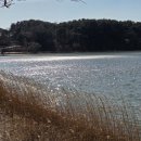 연주펜션 이미지