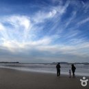 몽산포힐링캠핑장 이미지