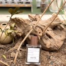 지은공방 | [서울 홍대 향수공방] 감성 제대로 채우는 연남 원데이 클래스 <닷노트> 후기