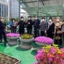 성도 태양광발전소 이미지