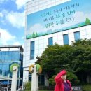 서울의료원 이미지