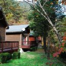 가리왕산 휴양림 이미지