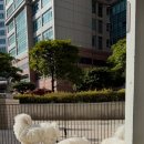 스니프 아틀라스 이미지