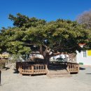 동부초등학교 이미지