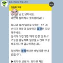 말이 술술, 여행 일본어회화(야간) | 포도 스피킹 일본어 아이패드 패키지 후기 (feat. 노베이스 전화 일본어 6달차 후기, 첫 일본 혼자 여행)