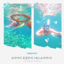 (주)에스팀케어 | 보라카이 호핑투어 추천 에스보라카이 내돈내산 후기 사진부터 밀착케어로 안전하게