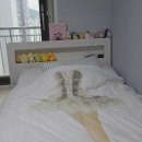에이스슈퍼 | 에이스침대 슈퍼싱글 딸아이 침대 바꾼 후기 내돈내산 솔직리뷰