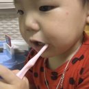 닛시디자인