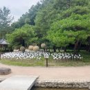 대구구암동고분군 팔거산성 탐방안내소 | 운암지 수변공원 (ft. 멸종 위기 야생동물과 식물을 볼 수 있는 곳)