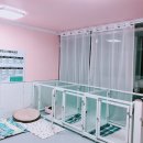 황언니 펫살롱 이미지